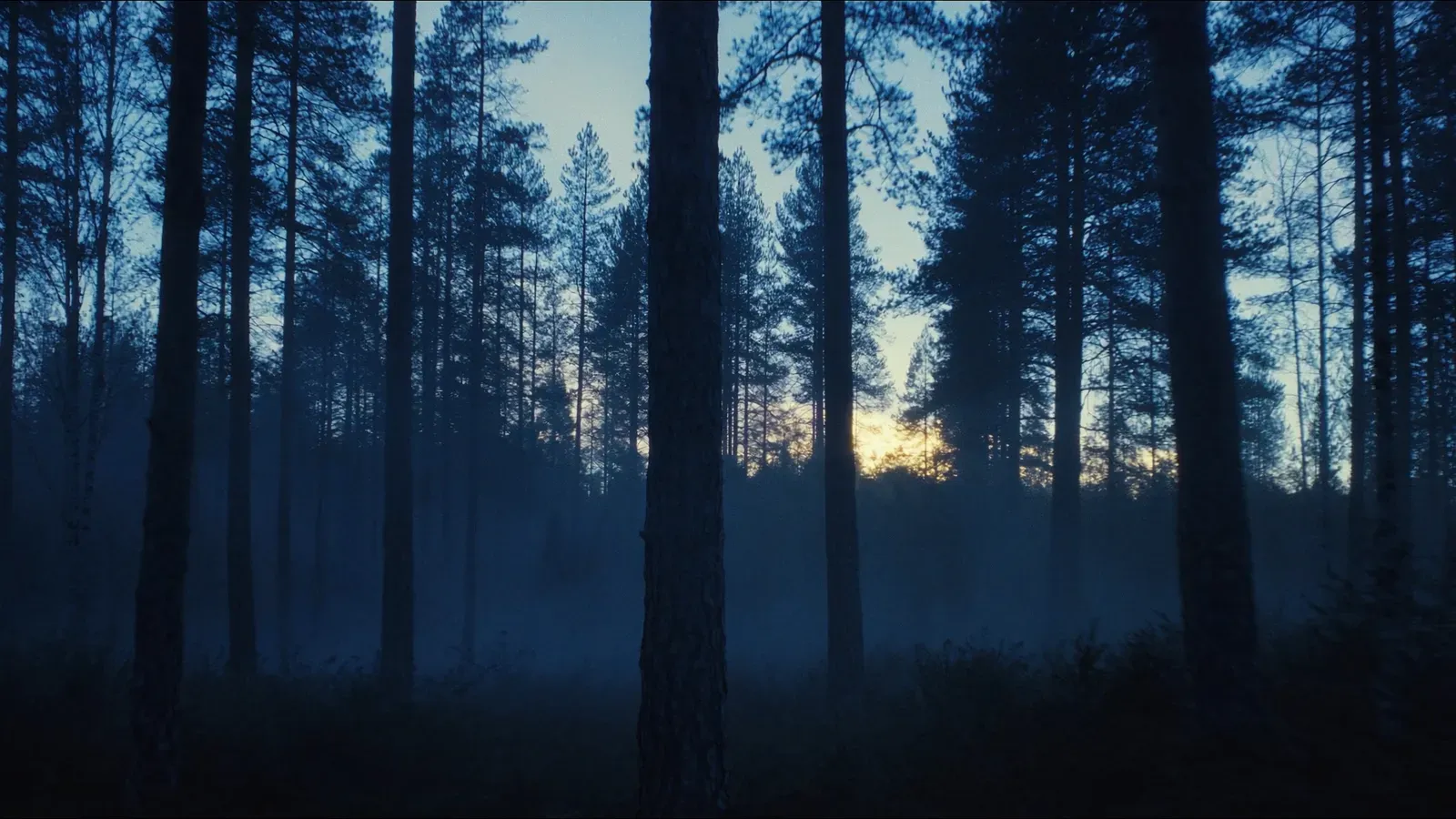 Atmospheric night scene illustrating Benefits of Nature Sounds for Relaxation and Sleep