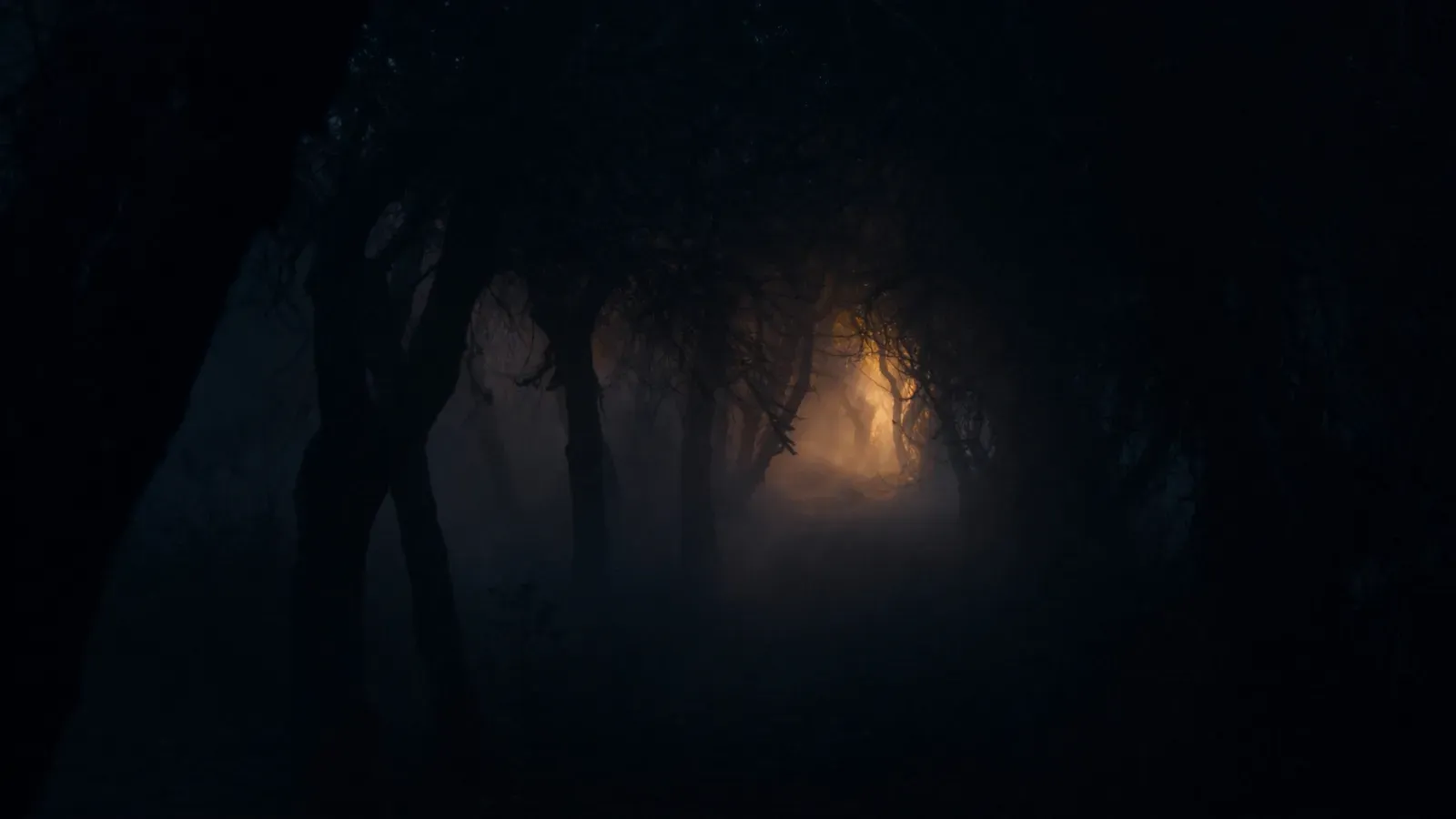 Atmospheric night scene illustrating Slo vs Portal: Immersive Sound Apps Compared (2026)